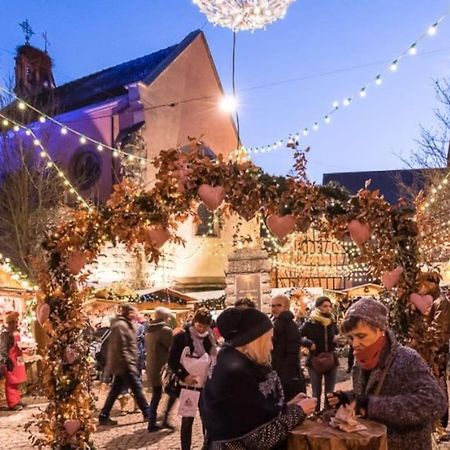 Le Cepage, Au Coeur Des Vignes. Eguisheim Exterior foto